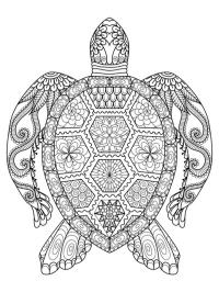 Tatuaje mandala de tortuga