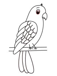 Loro sencillo