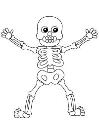 Esqueleto de Halloween (humano)