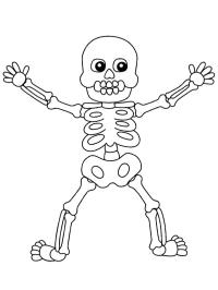 Esqueleto de Halloween (humano)