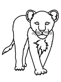 Leopardo de las nieves