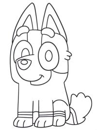 Socks Heeler