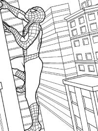 Spider man edificio escalada