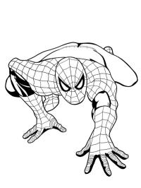 Spiderman se arrastra