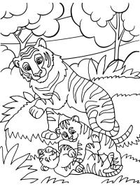 Cachorros de tigre