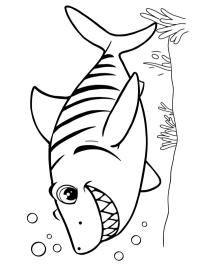 Tiburón tigre