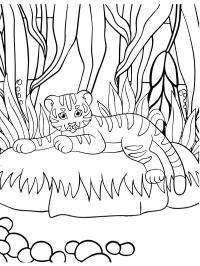 Cachorro de tigre
