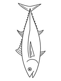 Atún