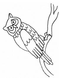 Búho en una rama