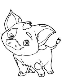 Cerdo Pua