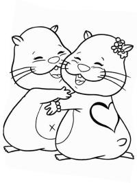 Hámsters enamorados
