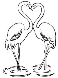 Flamencos enamorados