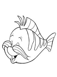 Flounder