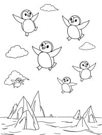 Pingüinos voladores