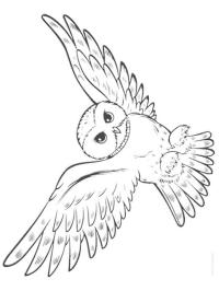 búho volador