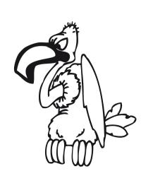 Pájaro