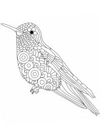 Mandala de pájaros