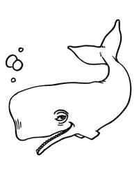 Ballena