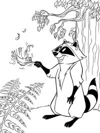 Mapache Meeko y colibrí Flit