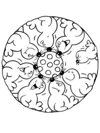 Mandala de focas