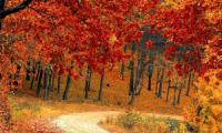 Otoño