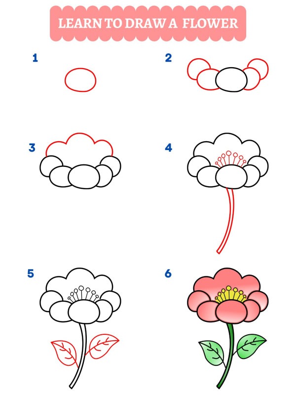 Cómo dibujar una flor