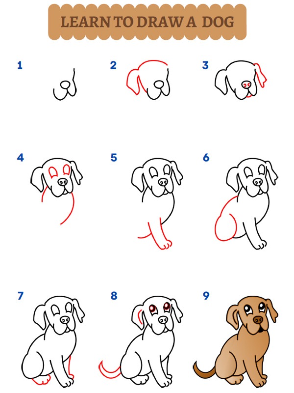 Como dibujar un perro