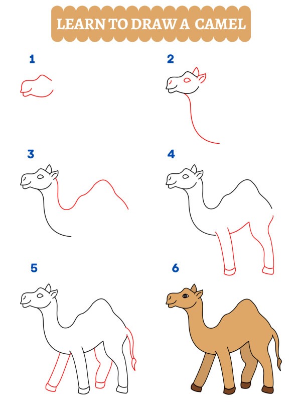 Cómo dibujar un camello