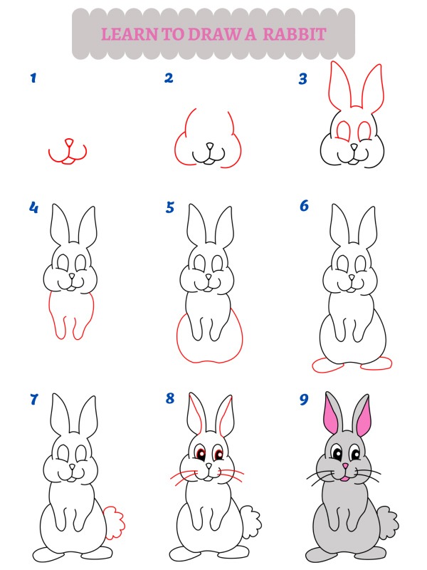 Como dibujar un conejo