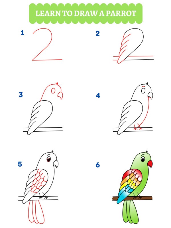 Cómo dibujar un loro