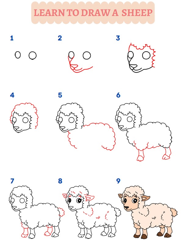 Como dibujar una oveja