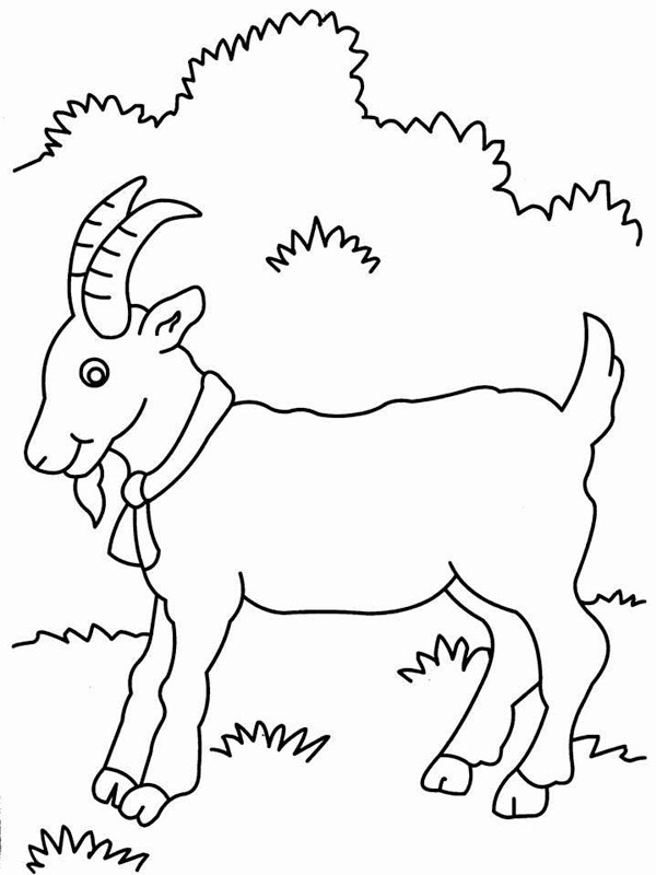 Dibujo de Cabra para Colorear