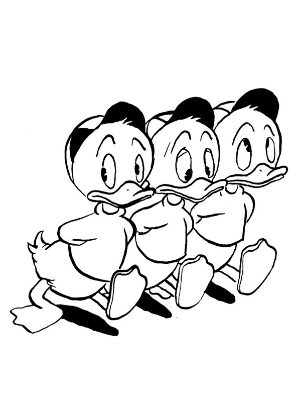 Dibujo de Huey, Dewey y Louie para Colorear