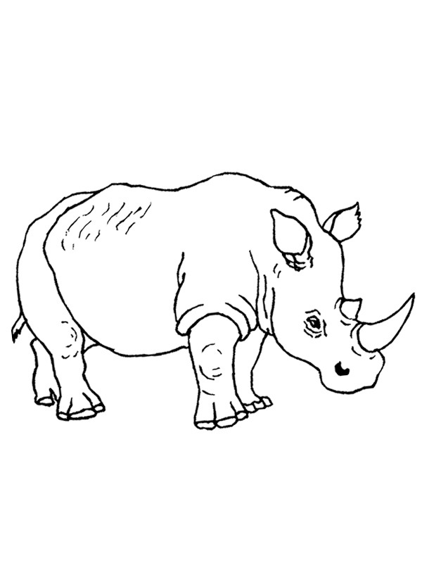 Dibujo de Rinoceronte para Colorear