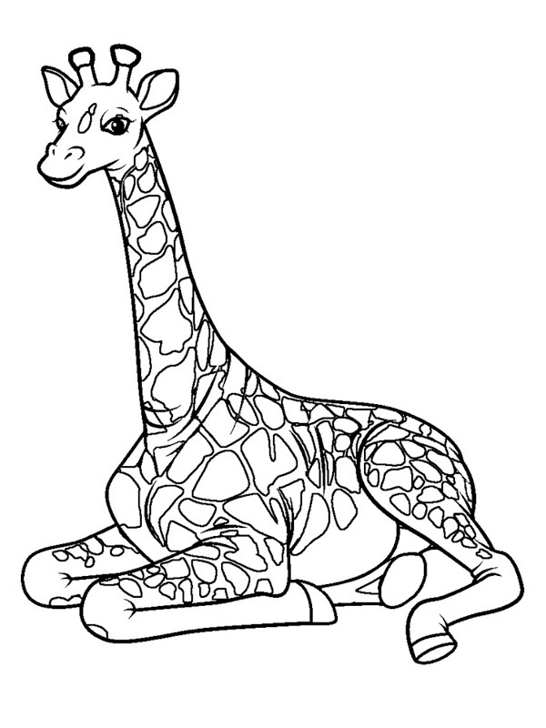 Dibujo de Jirafa para Colorear Dibujo de Jirafa para Colorear