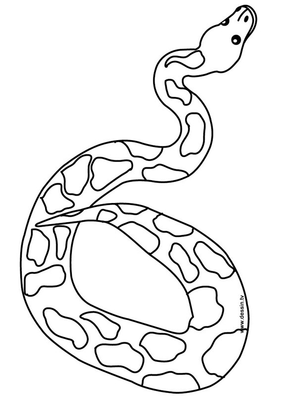 Dibujo de Serpiente para Colorear