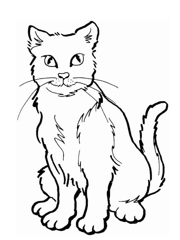 Dibujo de Gato para Colorear