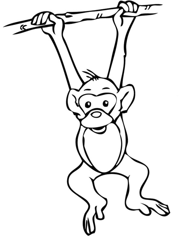 Dibujo de Mono colgado de una rama para Colorear