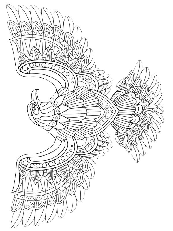 Dibujo de águila para adultos para Colorear