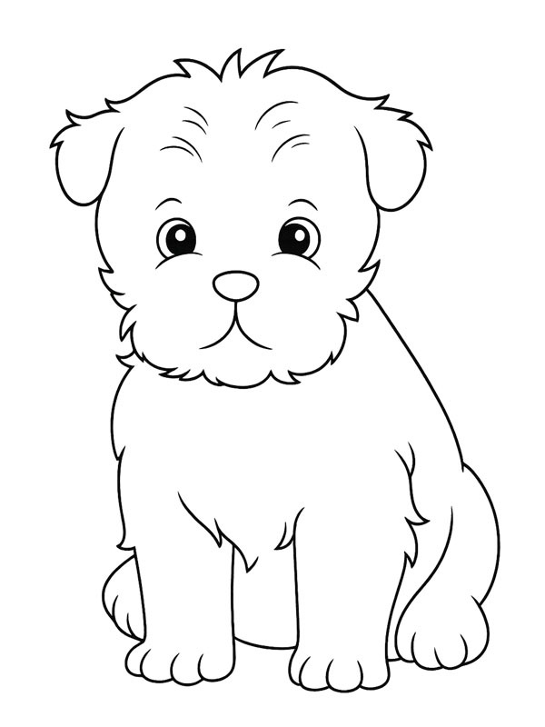 Dibujo de Affenpinscher para Colorear Dibujo de Affenpinscher para Colorear