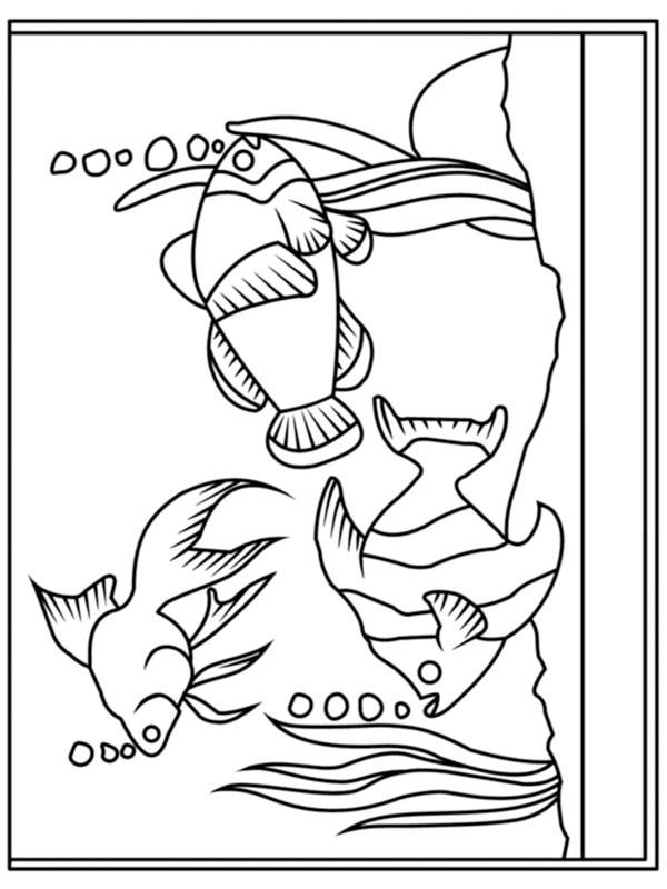 Dibujo de Acuario para Colorear Dibujo de Acuario para Colorear