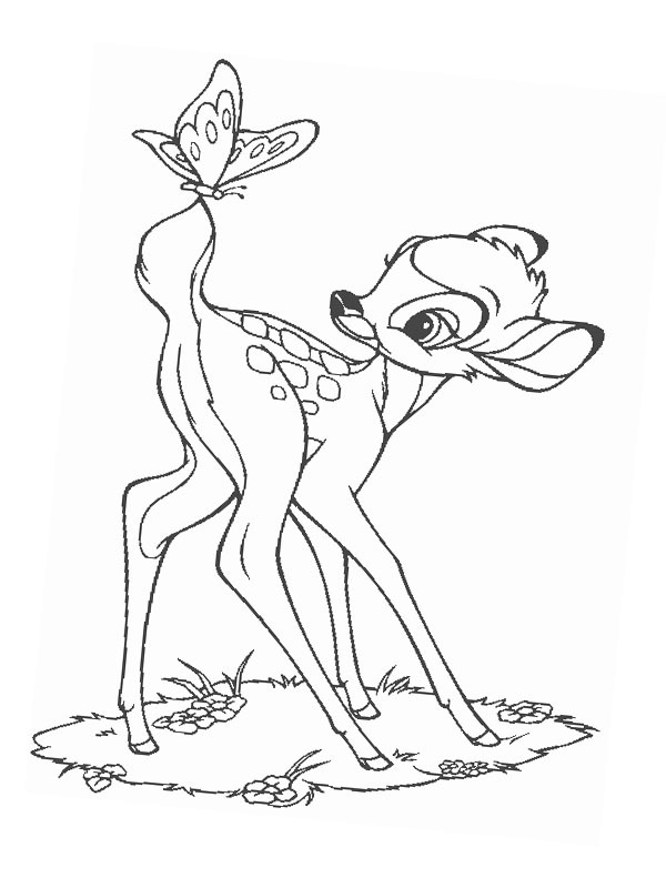 Dibujo de Bambi y Mariposa para Colorear
