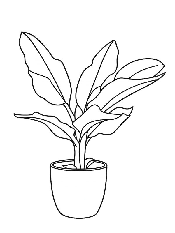Dibujo de Planta de plátano para Colorear Dibujo de Planta de plátano para Colorear