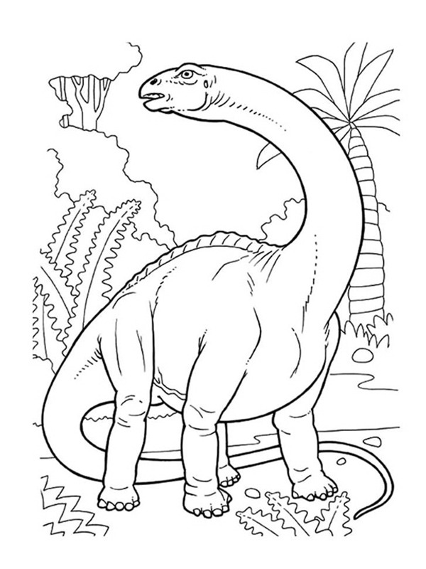 Dibujo de Brontosaurus para Colorear