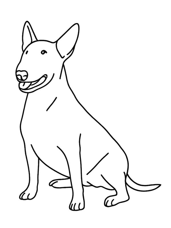 Dibujo de Bull terrier para Colorear Dibujo de Bull terrier para Colorear
