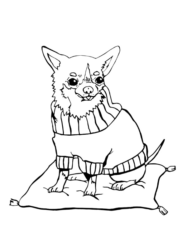 Dibujo de Chihuahua para Colorear Dibujo de Chihuahua para Colorear