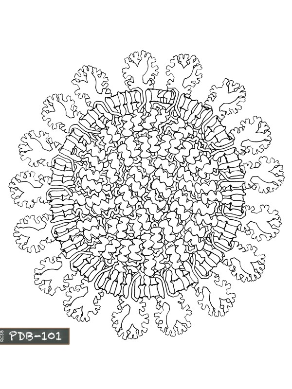 Dibujo de Coronavirus mandala para Colorear Dibujo de Coronavirus mandala para Colorear