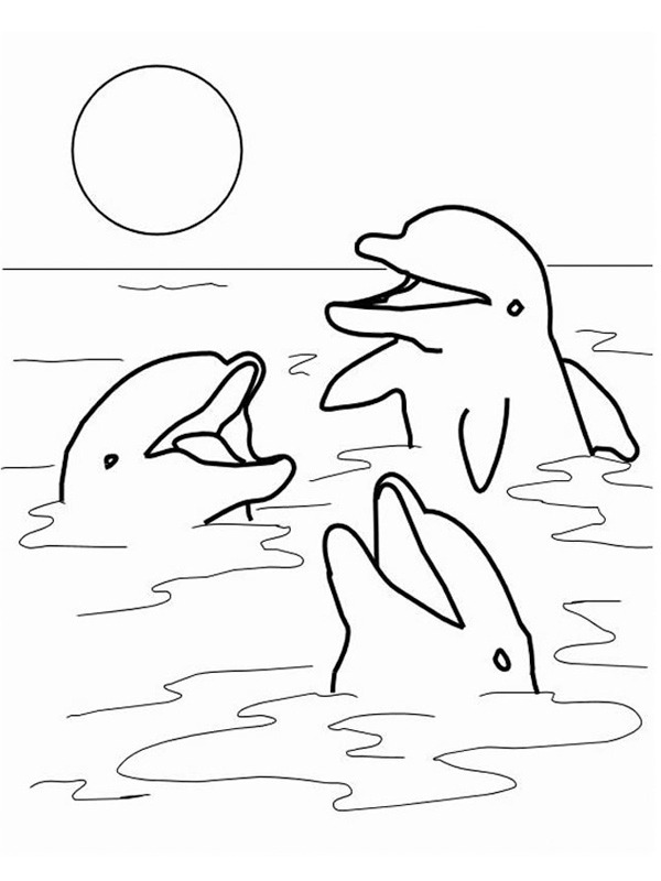Dibujo de Delfines en el mar para Colorear