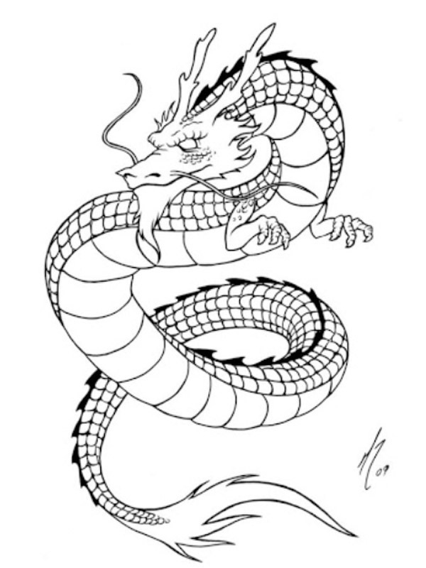 Dibujo de Tatuaje de dragón para Colorear