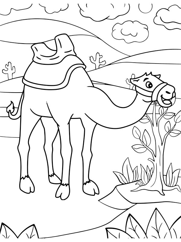 Dibujo de Dromedario para Colorear Dibujo de Dromedario para Colorear